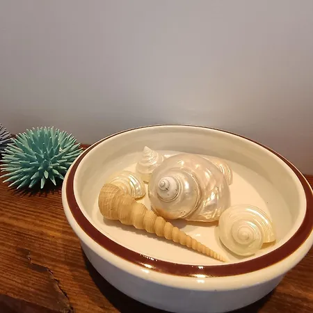 Giu Marina פורמיה